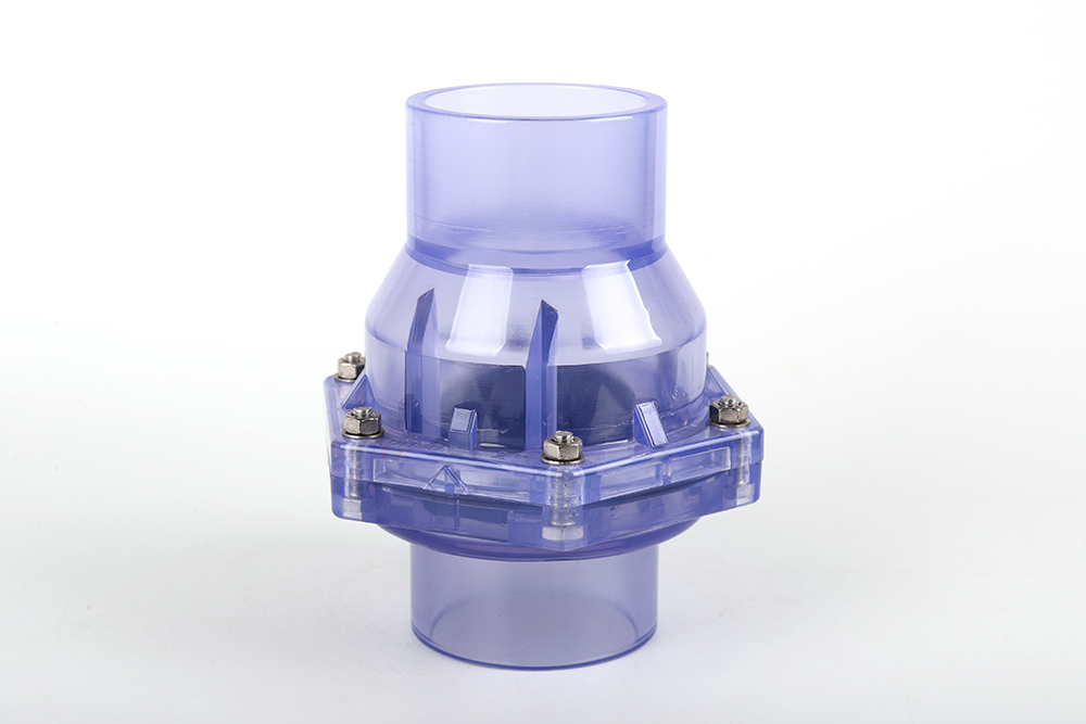 从江透明翻板式止回阀